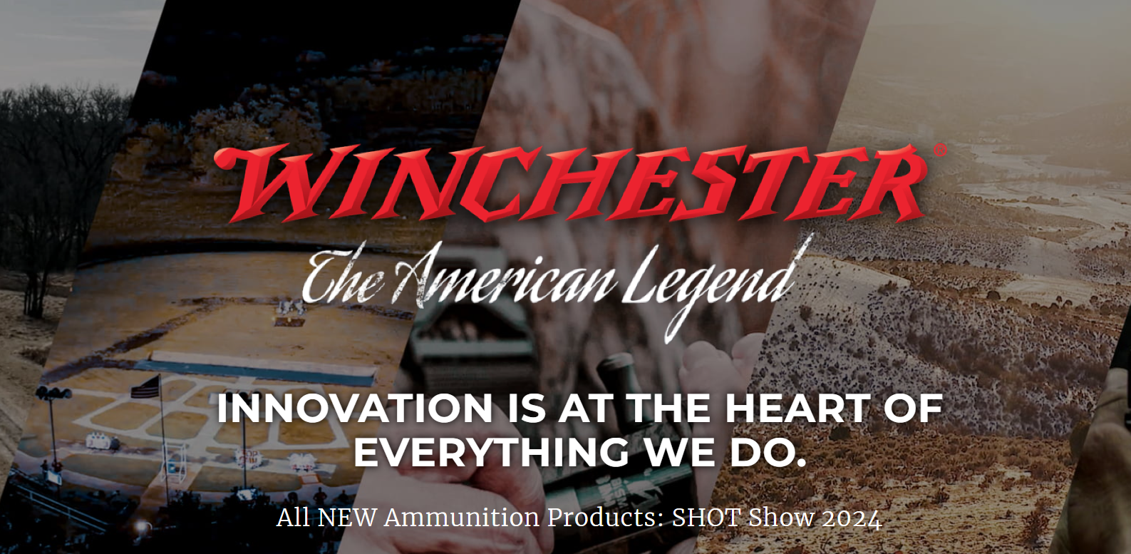 Winchester Rebate Form 2024